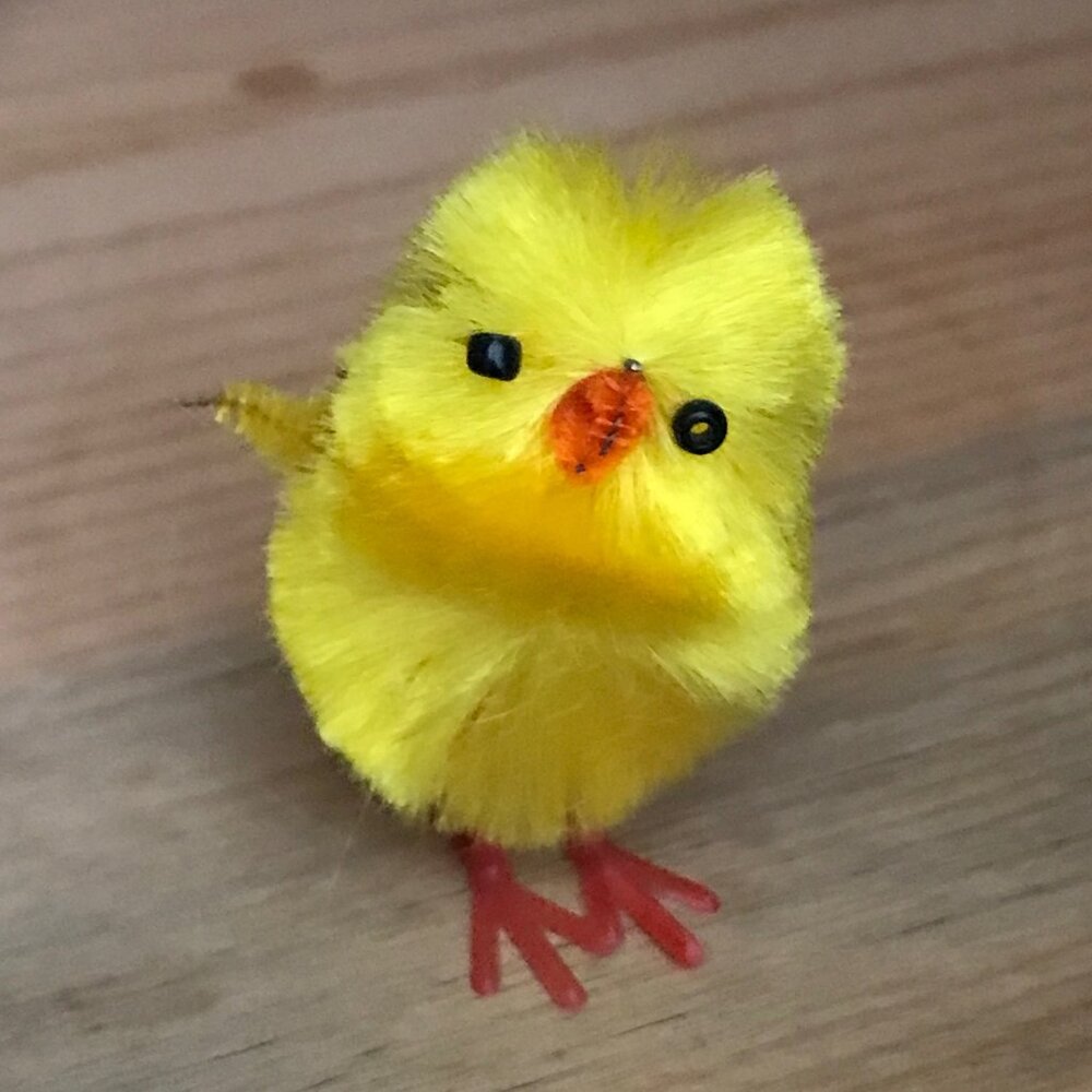 Chick